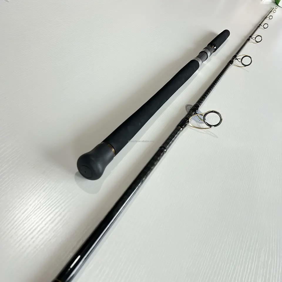 Popping Rod 2.5m | SeaGuide Rings, 80-200g Lures, Extra Heavy