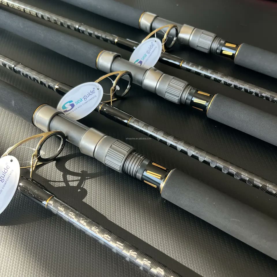 Popping Rod 2.5m | SeaGuide Rings, 80-200g Lures, Extra Heavy